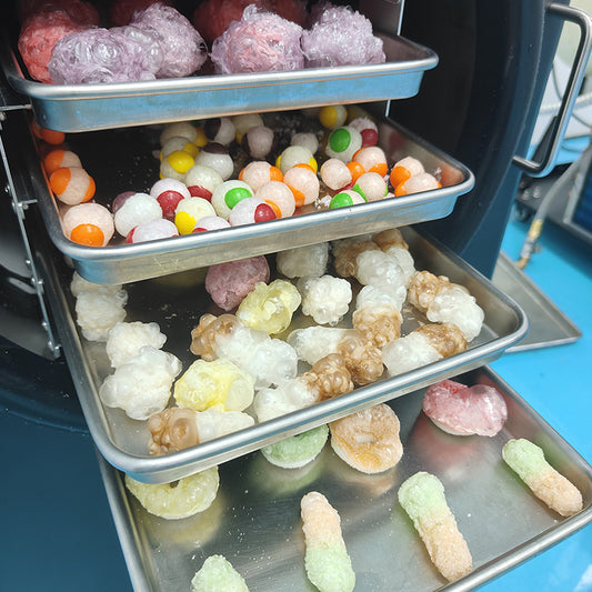 10kg Automated Food Freeze-Dryer