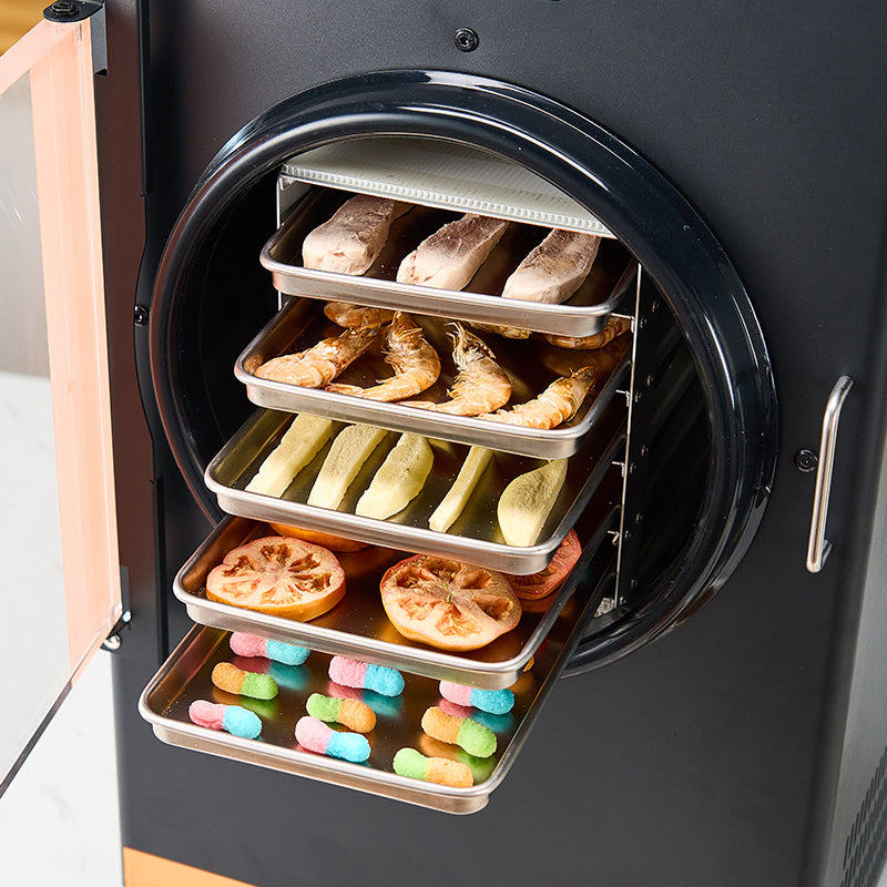 10kg Automated Food Freeze-Dryer